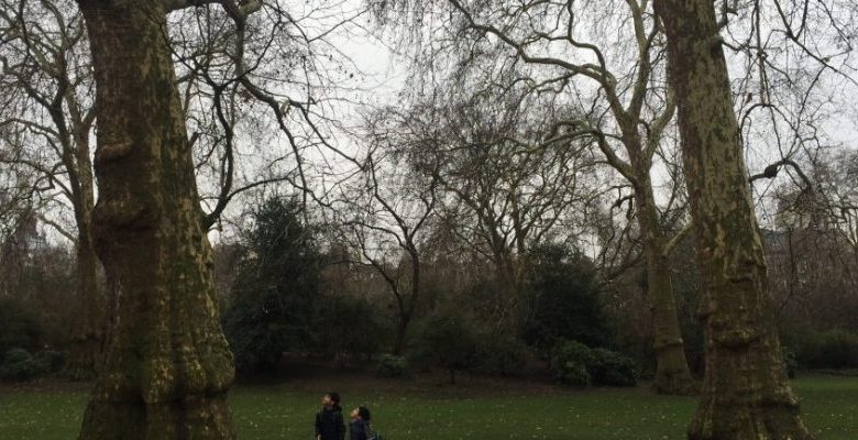 St James’s Park와 The Green Park의 매력