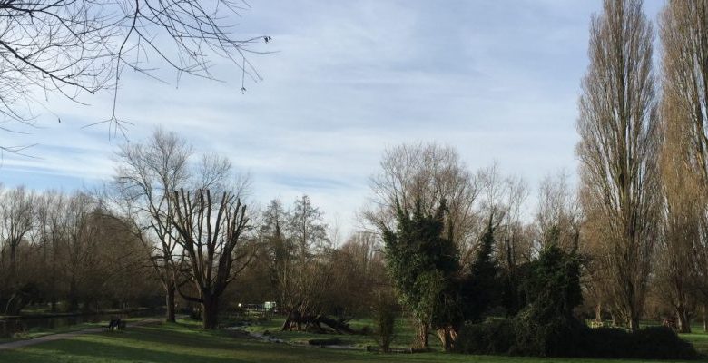 캠브리지의 녹지: Coe Fen과 Sheep’s Green